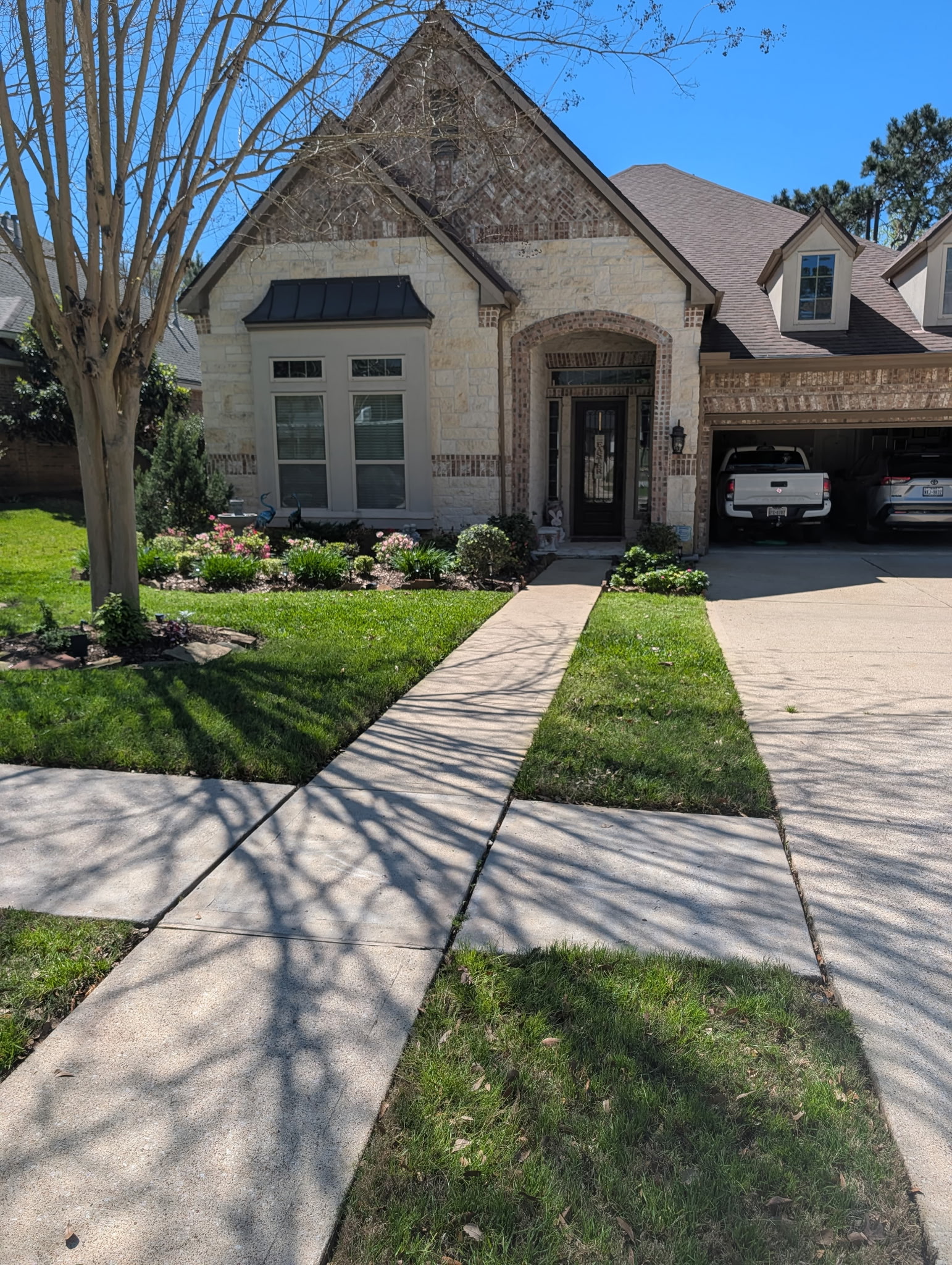 Lush green lawn service result