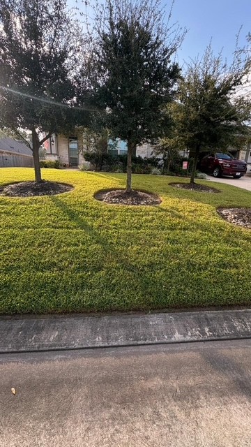 Front landscape and bed maintenance